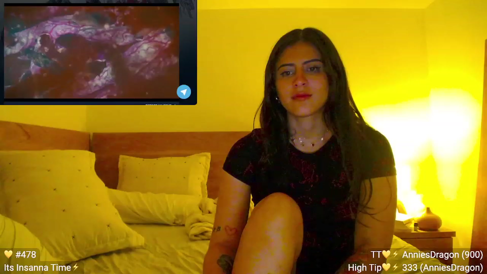 Gallery image thumbnail from Insanna's myfreecams stream on, 02/06/2023, 01:19 image 7 of 20