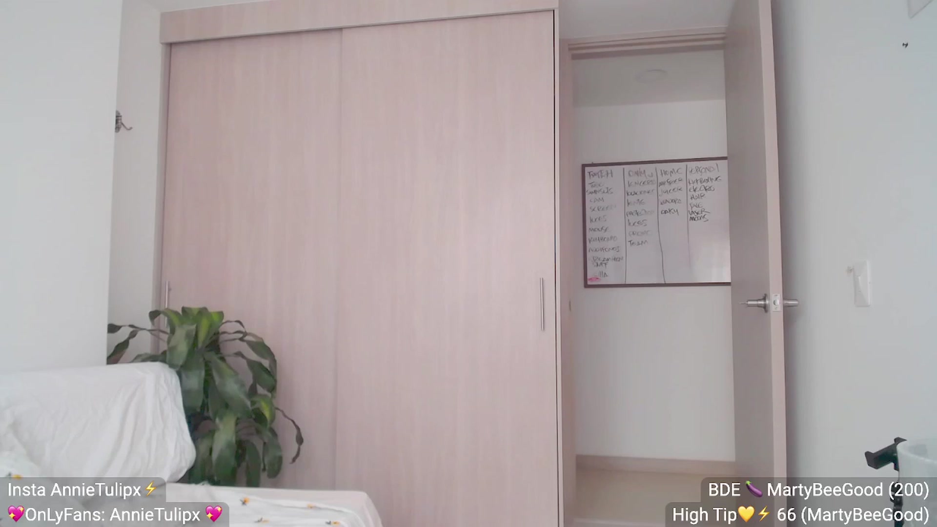 Gallery image thumbnail from Insanna's myfreecams stream on, 05/09/2023, 13:44 image 13 of 20