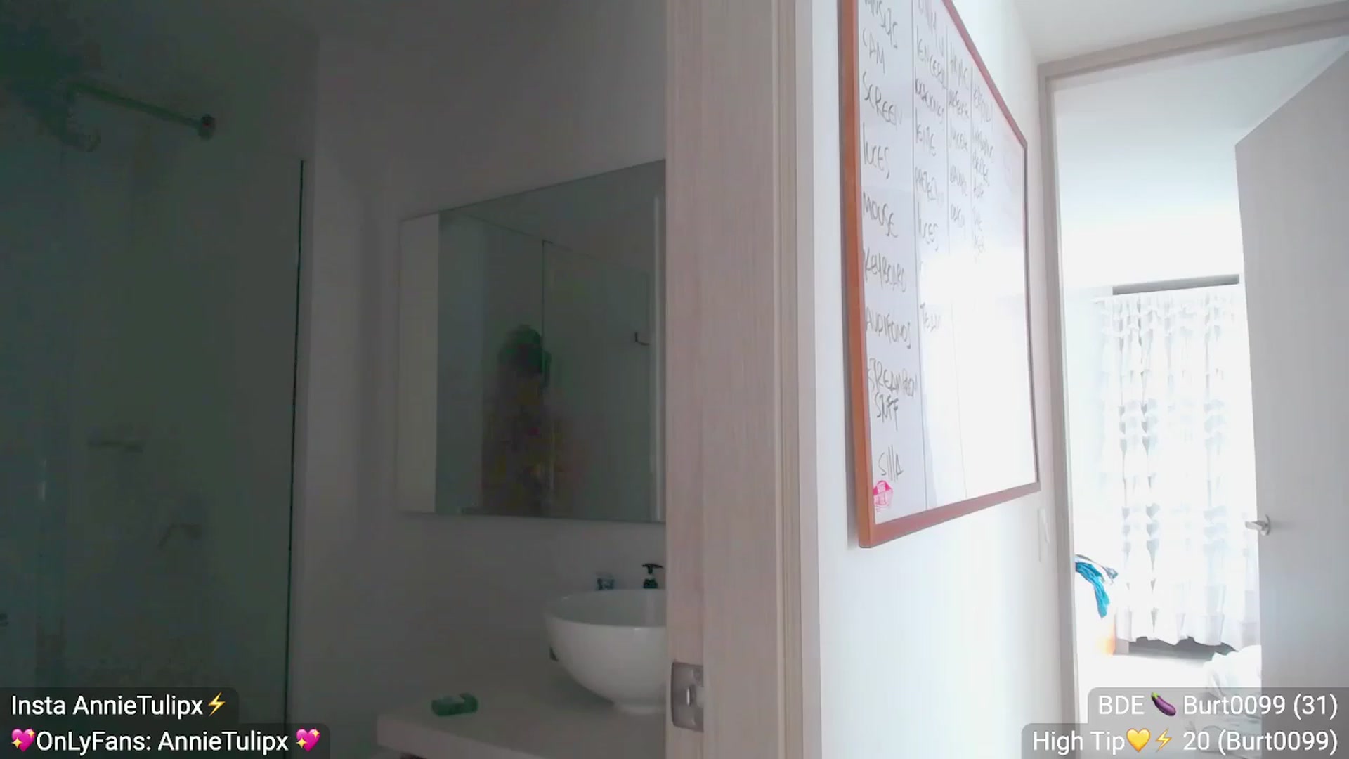 Gallery image thumbnail from Insanna's myfreecams stream on, 05/20/2023, 15:39 image 10 of 20
