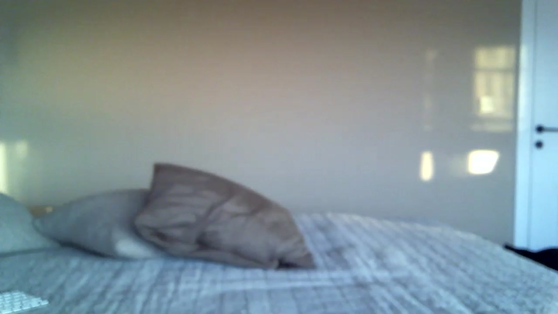 Gallery image thumbnail from Into_Mary's myfreecams stream on, 12/19/2022, 14:36 image 11 of 20
