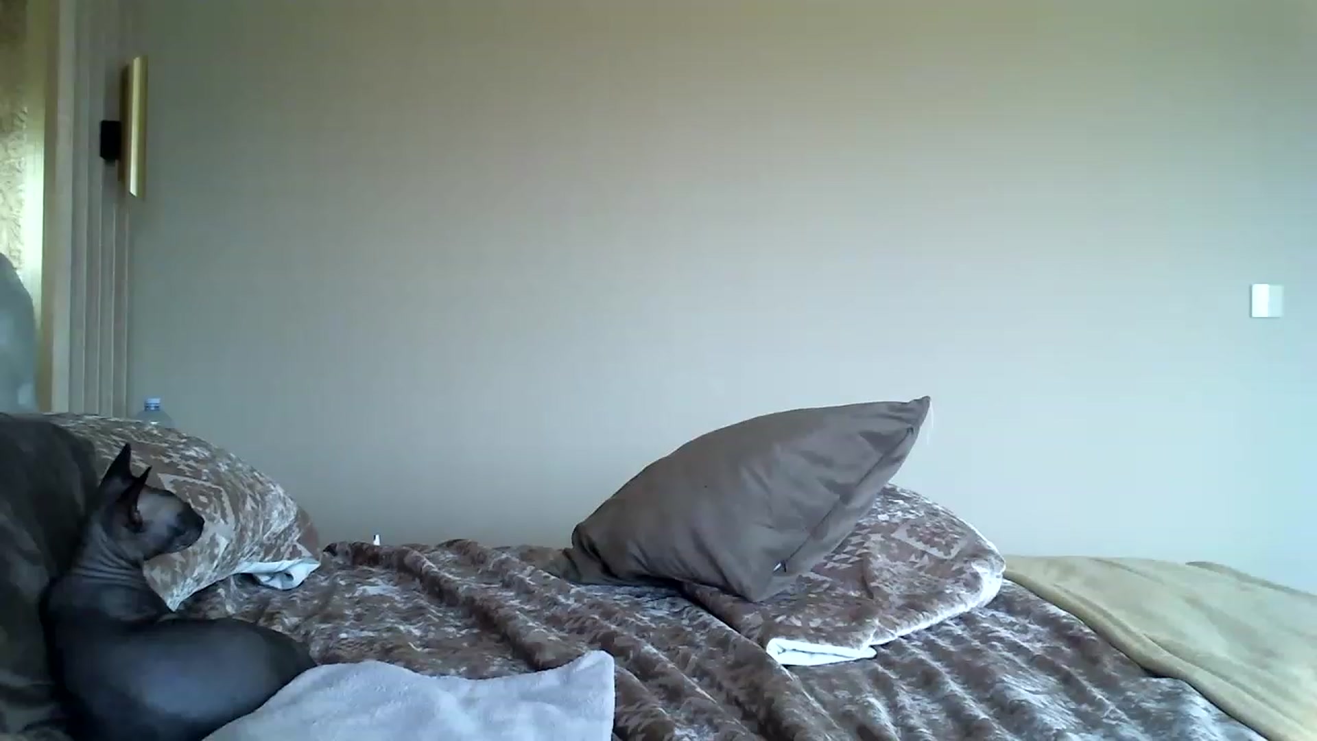 Gallery image thumbnail from Into_Mary's myfreecams stream on, 06/01/2023, 12:19 image 12 of 20