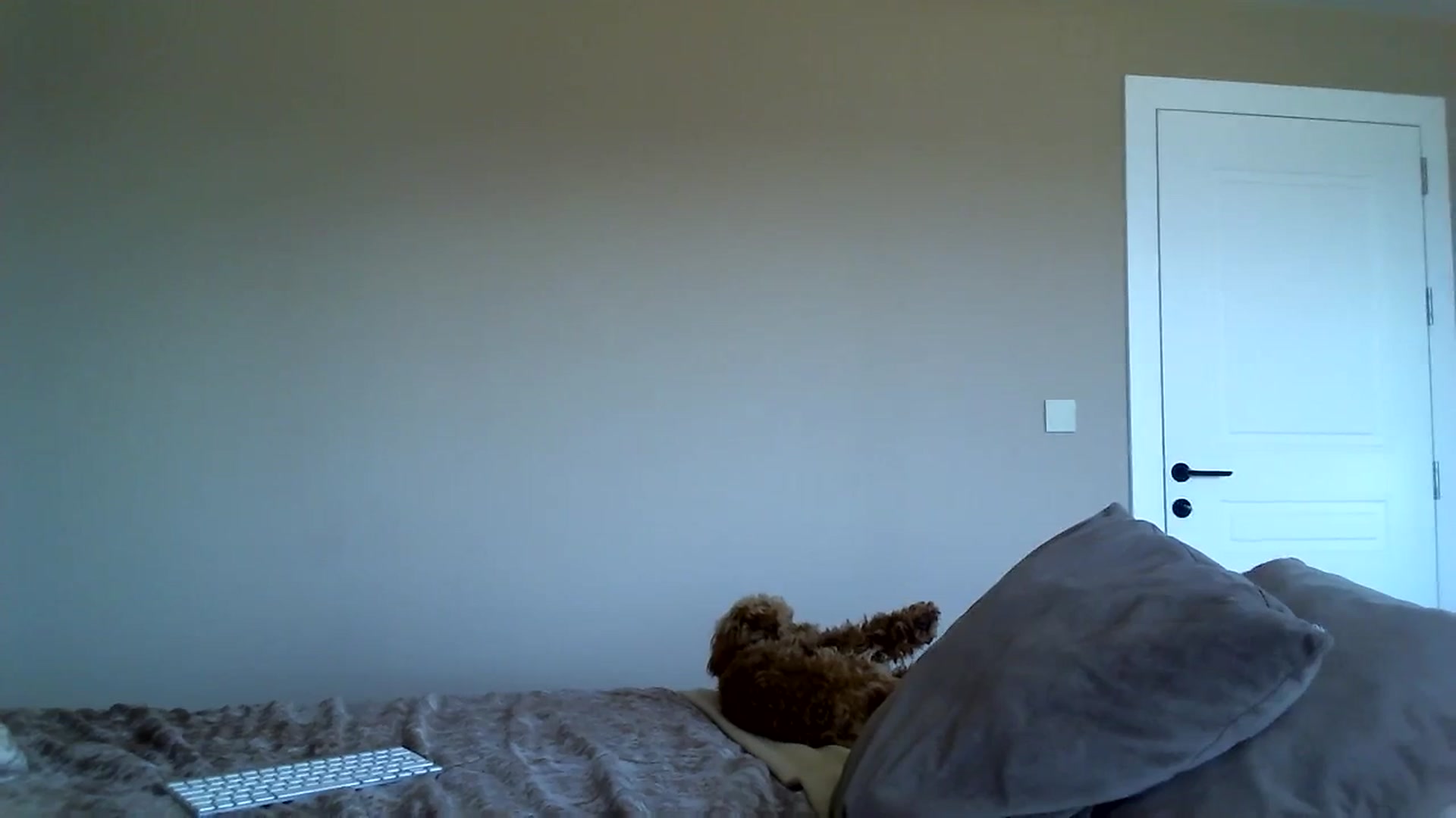 Gallery image thumbnail from Into_Mary's myfreecams stream on, 04/13/2024, 12:09 image 11 of 20