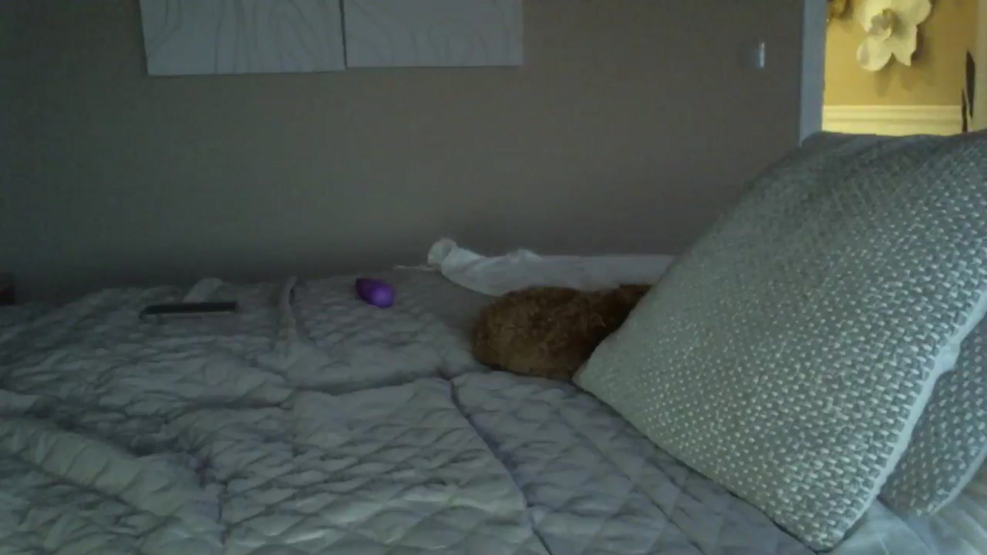 Gallery image thumbnail from Into_Mary's myfreecams stream on, 12/25/2024, 15:09 image 7 of 20