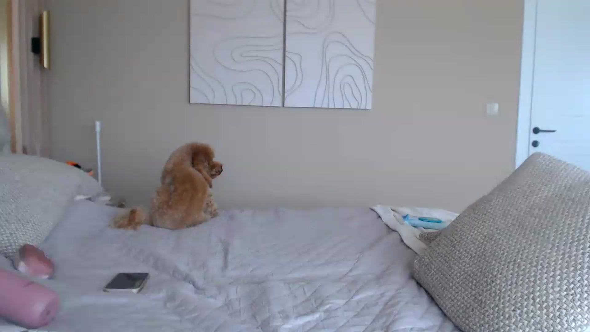 Gallery image thumbnail from Into_Mary's myfreecams stream on, 05/31/2026, 12:33 image 16 of 20