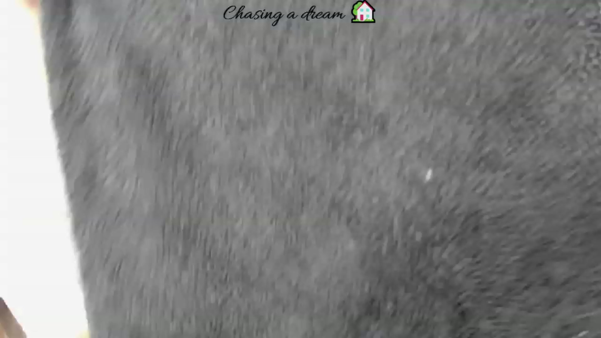 Gallery image thumbnail from Intrigue89's myfreecams stream on, 04/07/2023, 15:05 image 12 of 20