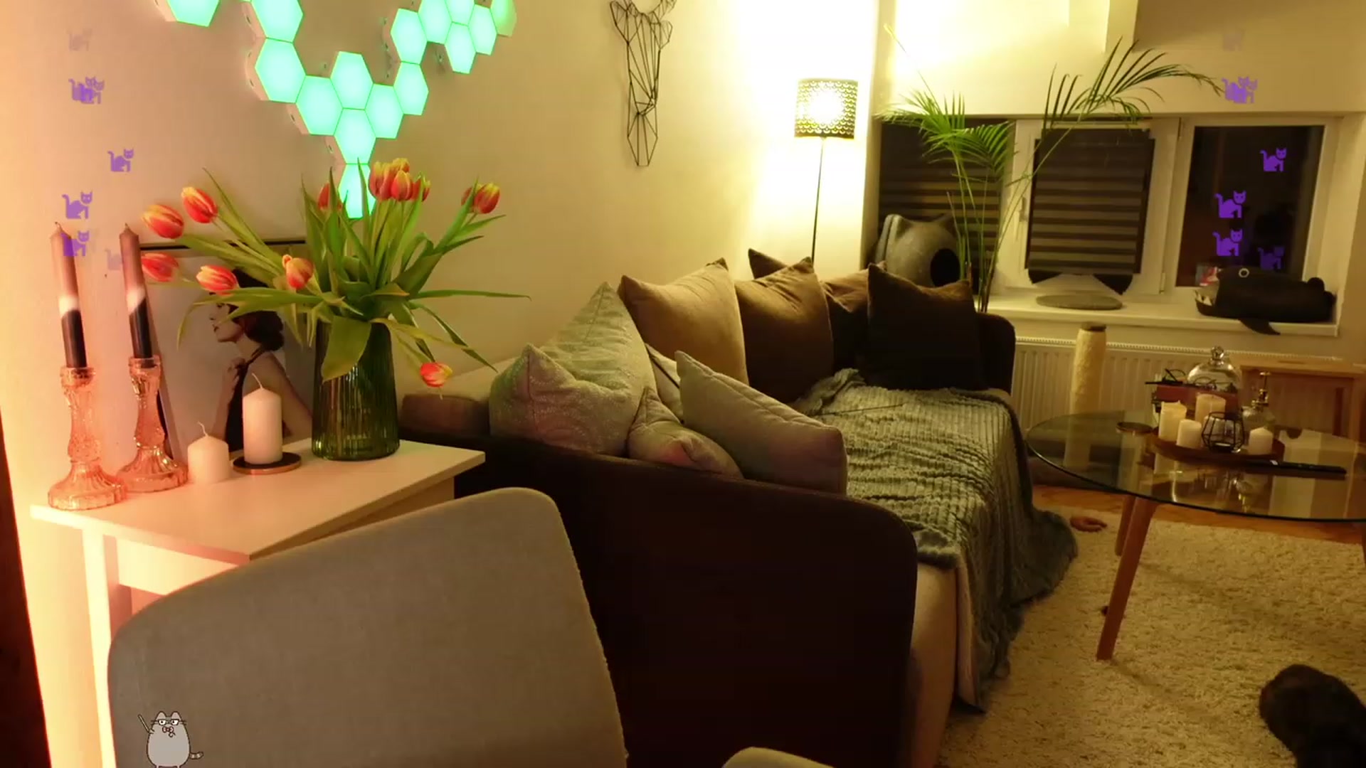 Gallery image thumbnail from Invisible_'s myfreecams stream on, 03/11/2024, 01:51 image 19 of 20