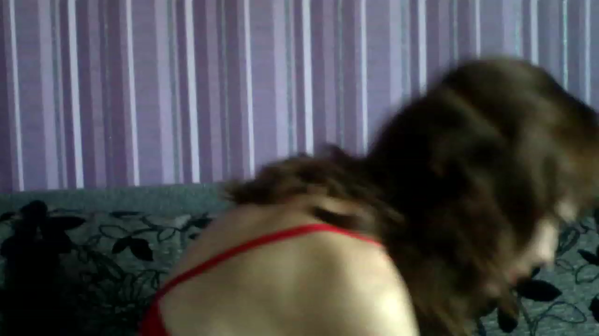 Gallery image thumbnail from Iren_Fairy's myfreecams stream on, 08/05/2023, 10:03 image 4 of 20
