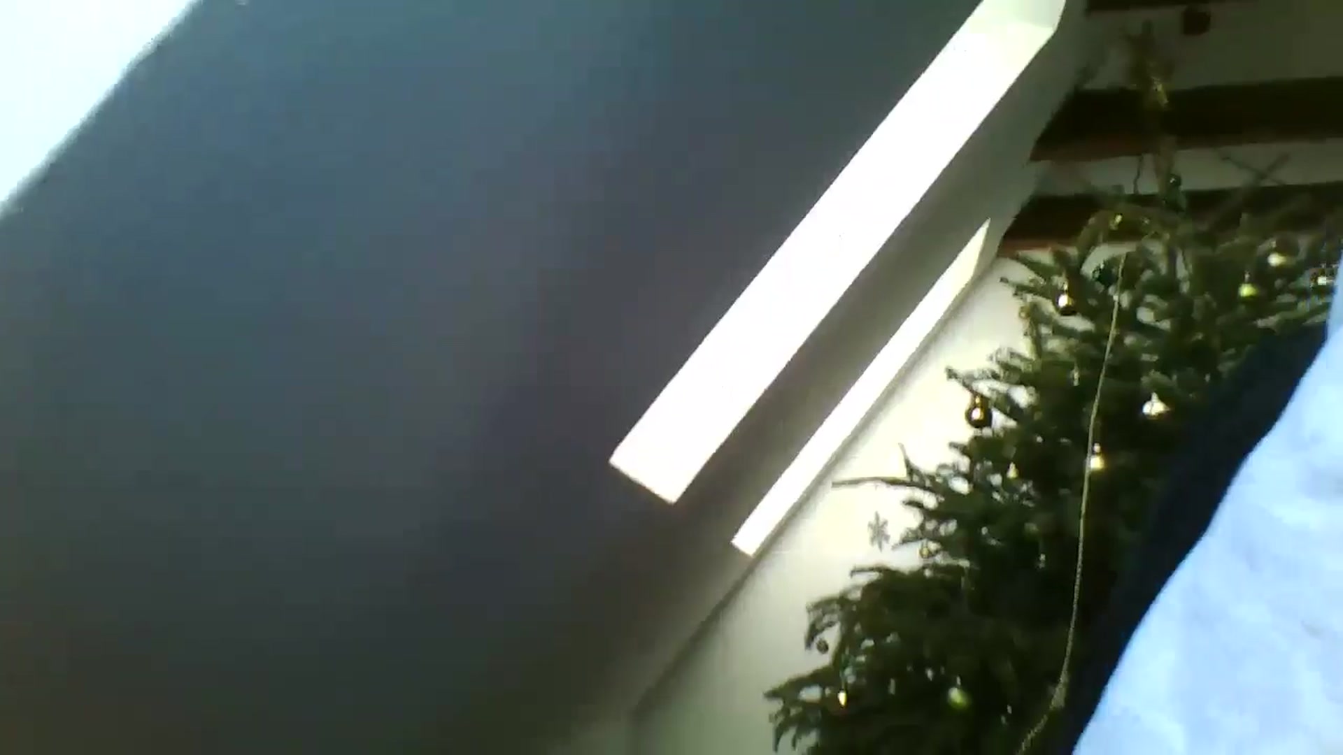 Gallery image thumbnail from IrisAmore's myfreecams stream on, 12/26/2024, 15:13 image 2 of 20