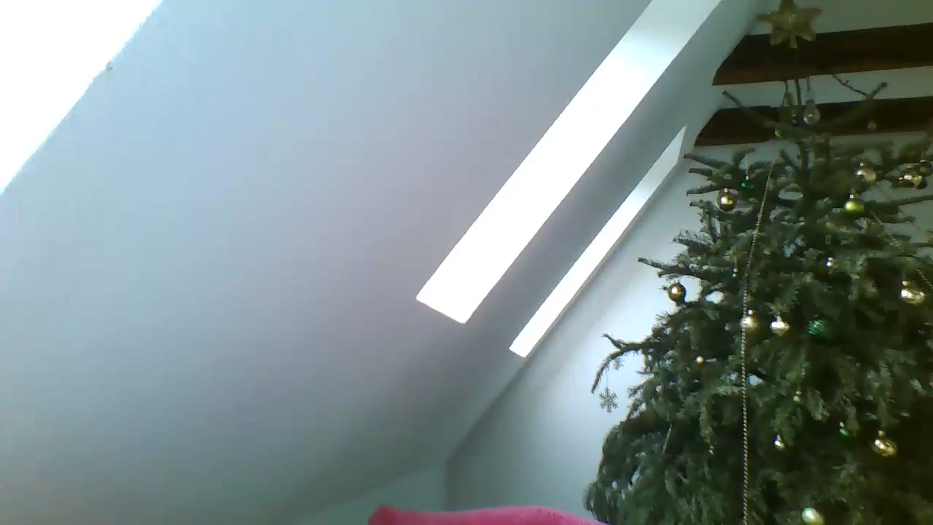 Gallery image thumbnail from IrisAmore's myfreecams stream on, 01/04/2025, 13:50 image 2 of 20