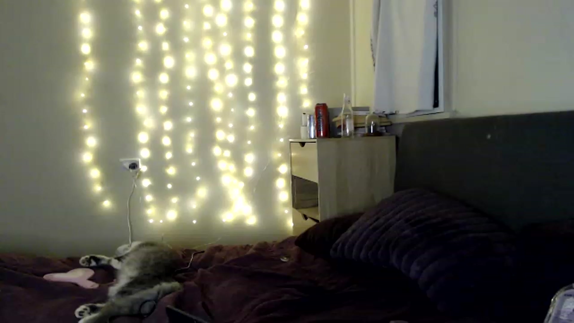 Gallery image thumbnail from Iris_mae's myfreecams stream on, 12/31/2022, 15:47 image 2 of 20