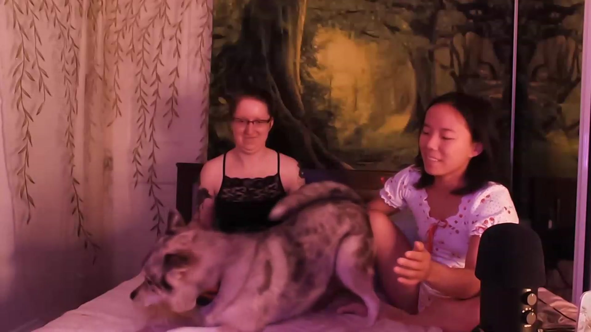 Gallery image thumbnail from Isa_Boop's myfreecams stream on, 08/11/2023, 20:28 image 20 of 20