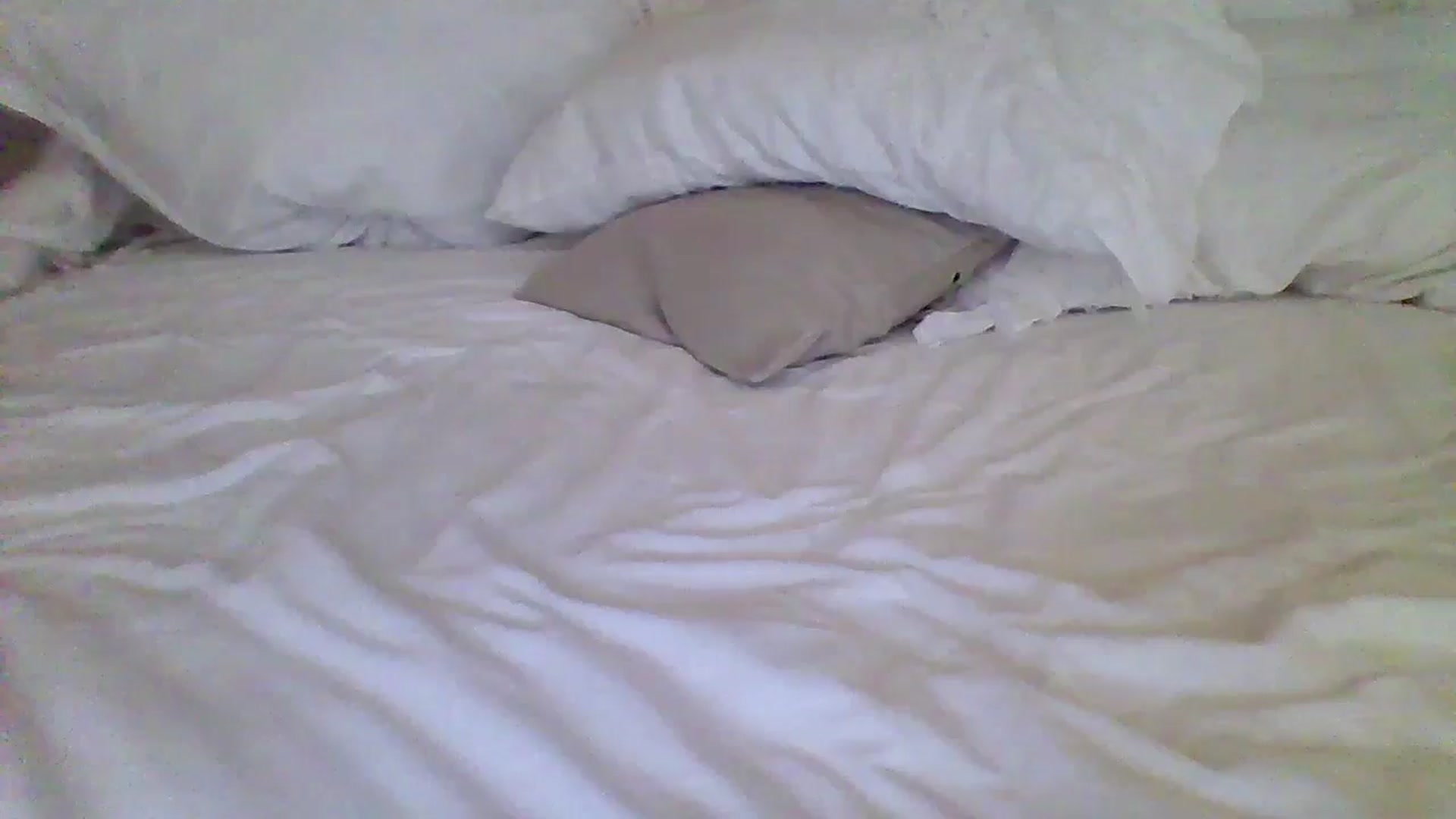 Gallery image thumbnail from Isa__'s myfreecams stream on, 06/23/2024, 21:29 image 8 of 20