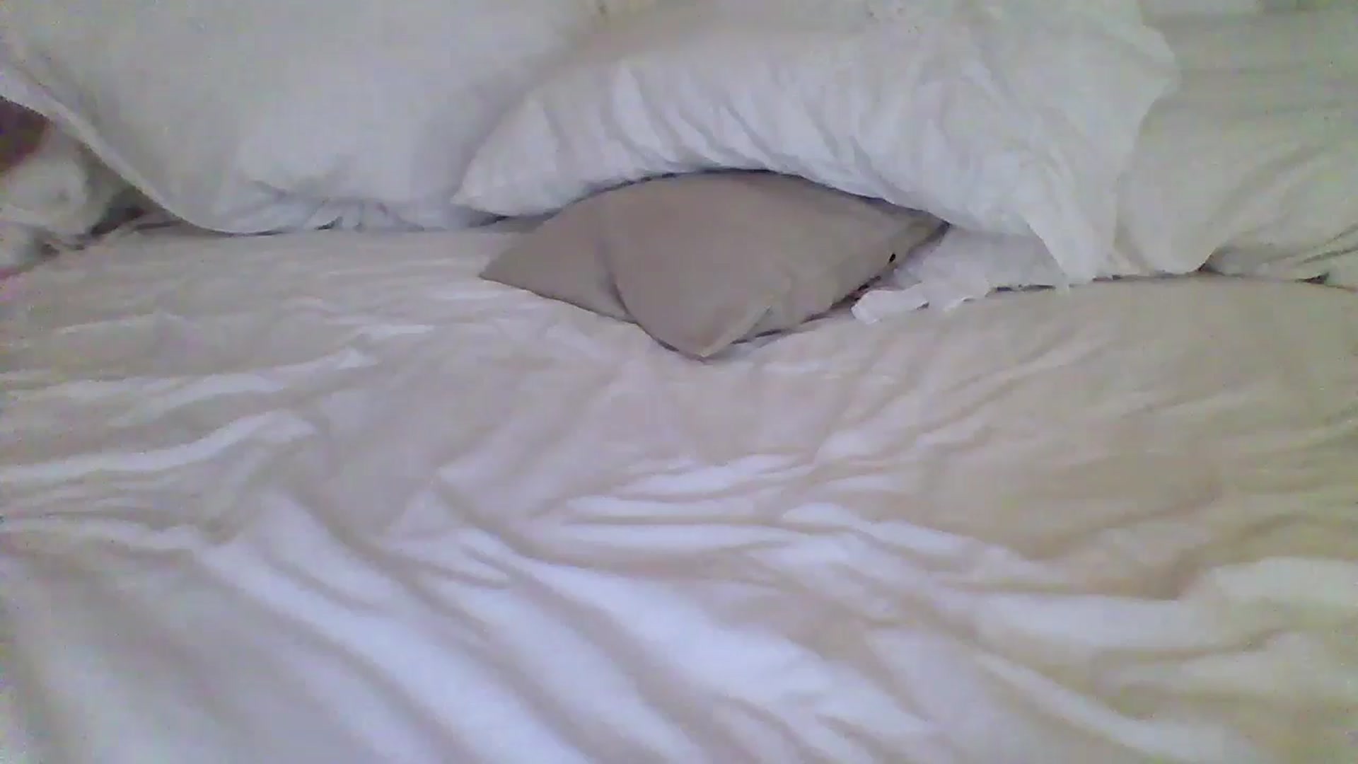Gallery image thumbnail from Isa__'s myfreecams stream on, 06/23/2024, 21:29 image 7 of 20