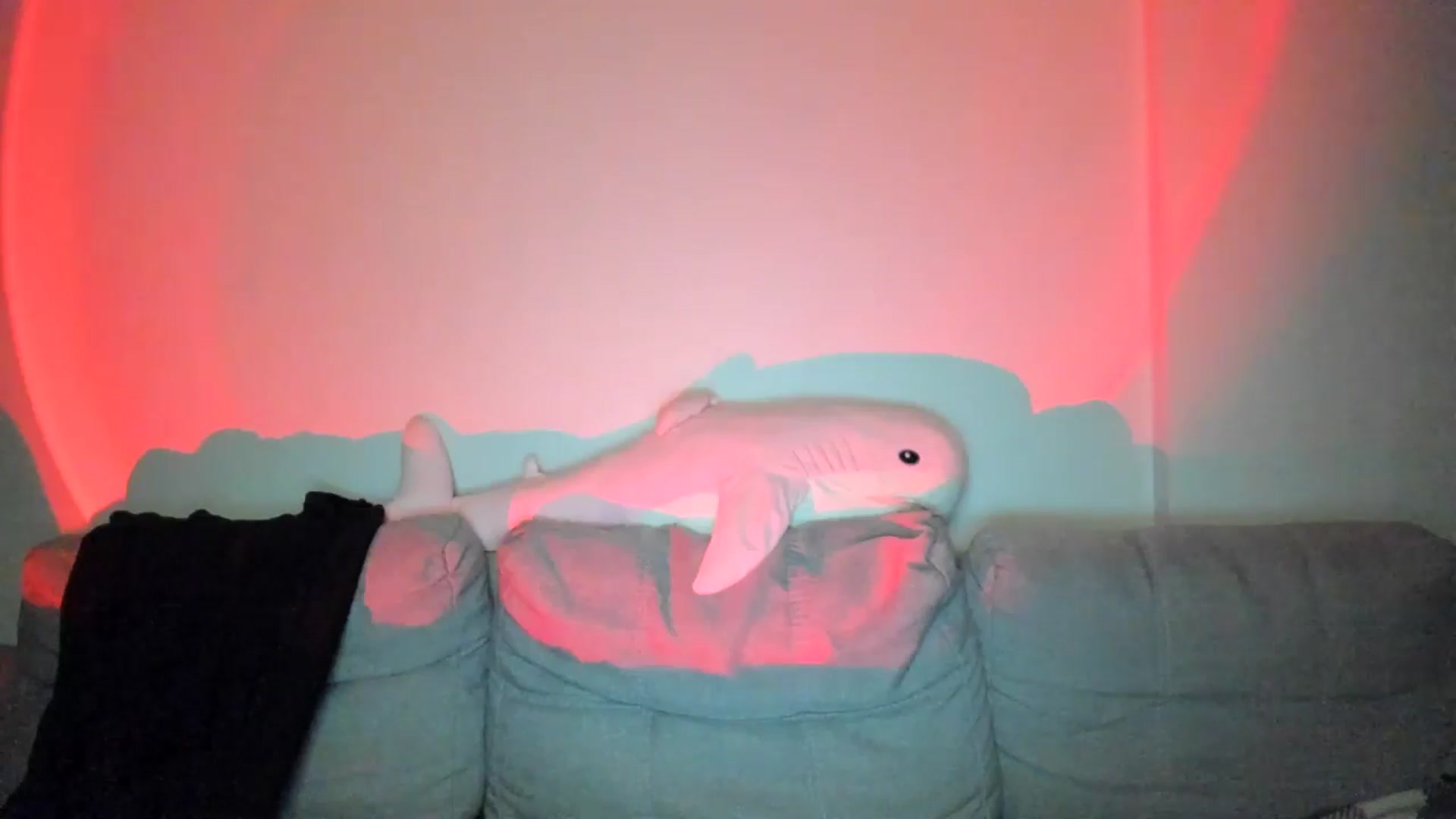 Gallery image thumbnail from IsabellRrose's myfreecams stream on, 02/07/2025, 17:15 image 2 of 20