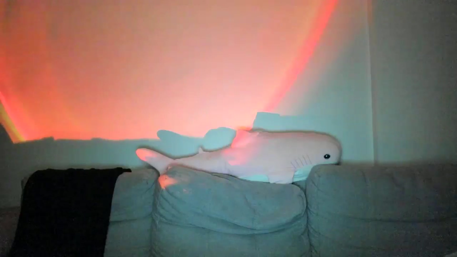Gallery image thumbnail from IsabellRrose's myfreecams stream on, 02/21/2025, 17:26 image 2 of 20