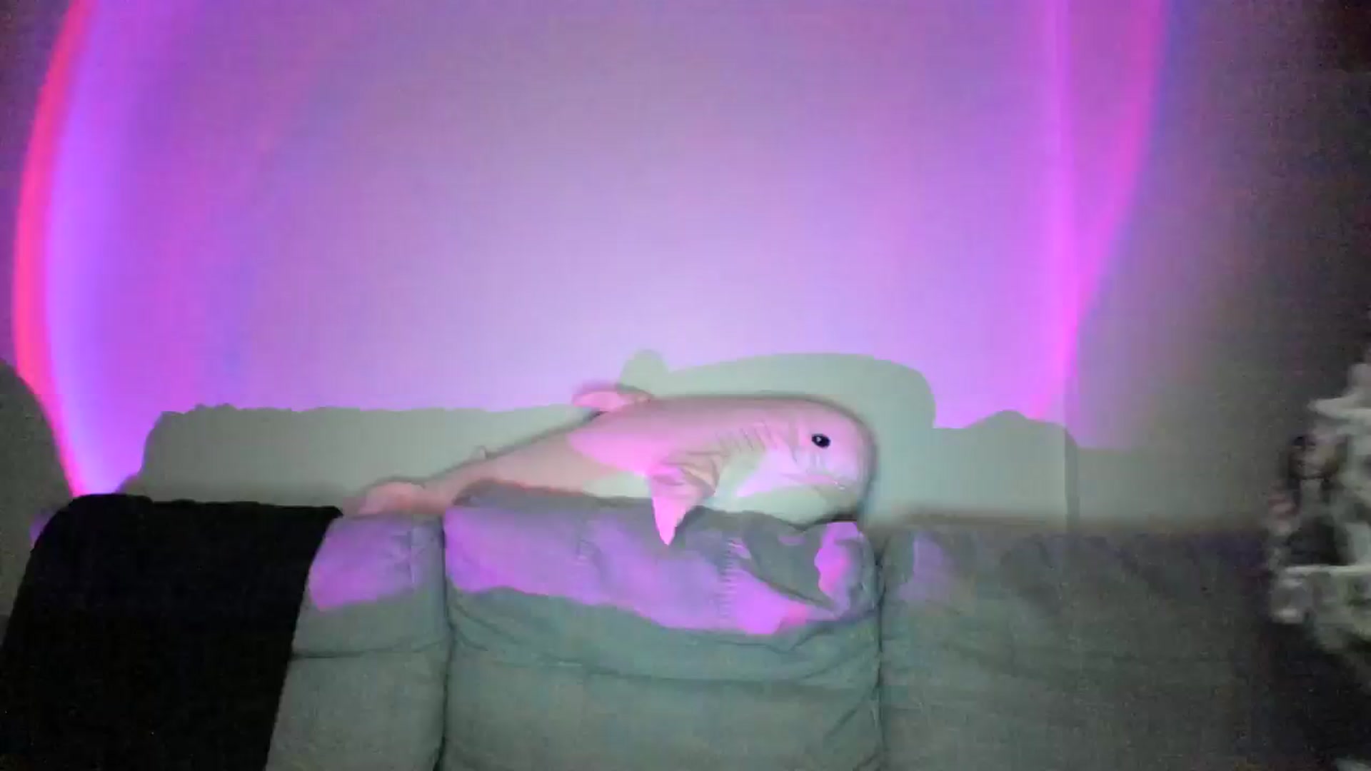 Gallery image thumbnail from IsabellRrose's myfreecams stream on, 02/28/2025, 17:05 image 17 of 20