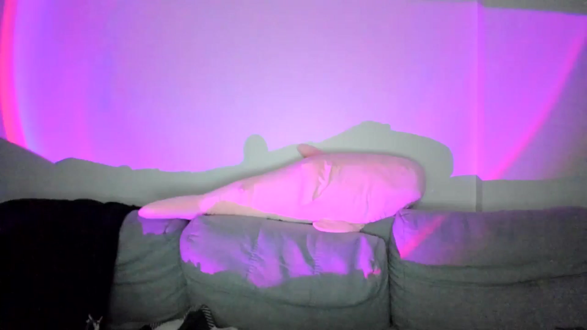 Gallery image thumbnail from IsabellRrose's myfreecams stream on, 03/25/2025, 17:20 image 2 of 20