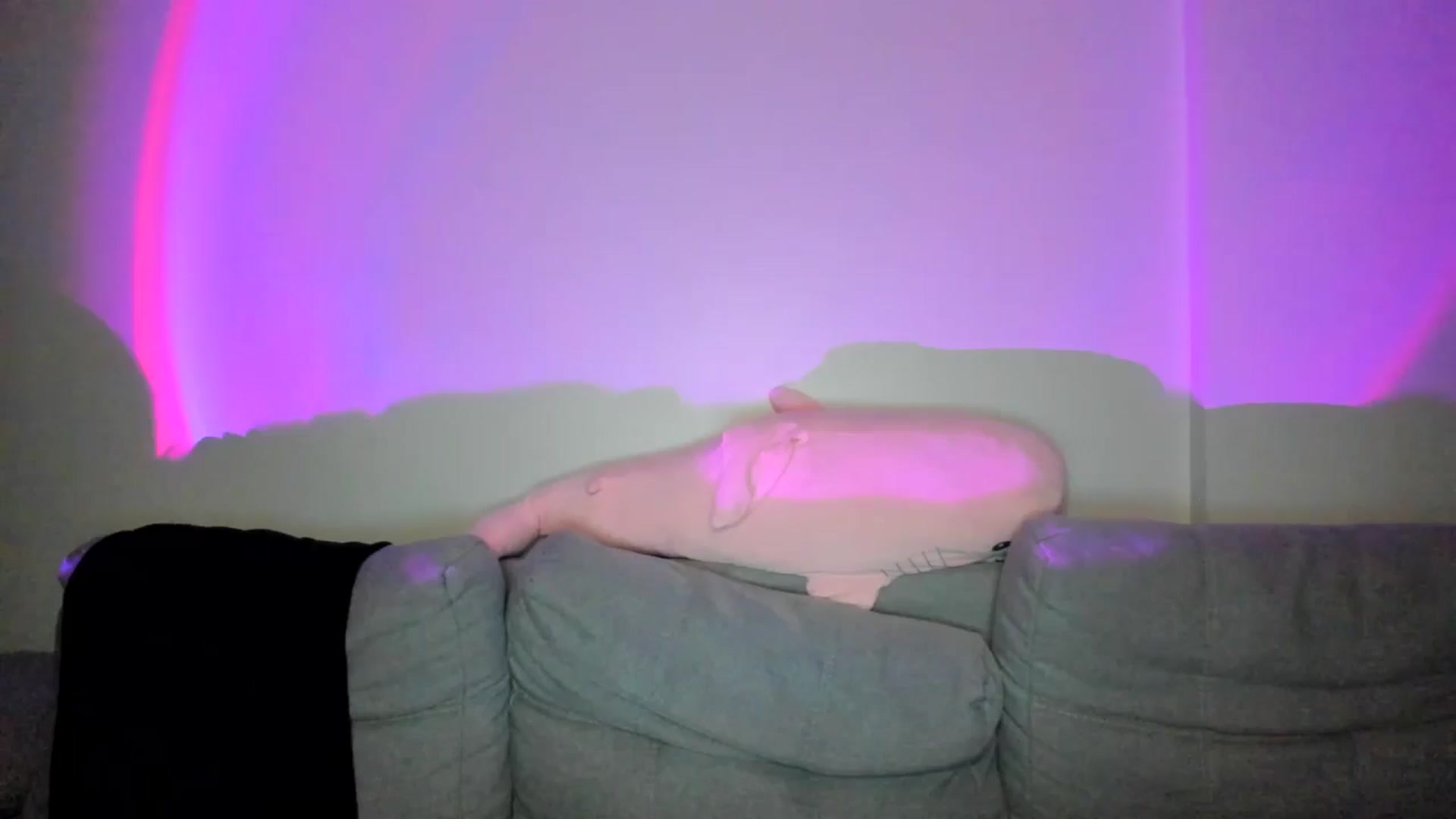 Gallery image thumbnail from IsabellRrose's myfreecams stream on, 03/28/2025, 17:15 image 1 of 20