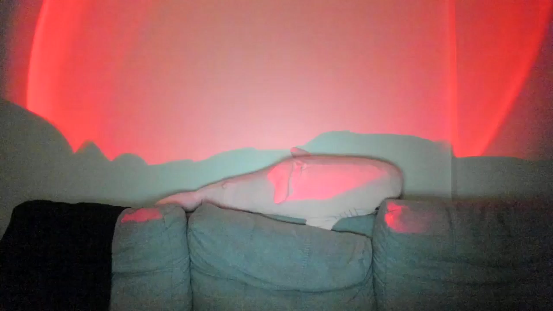 Gallery image thumbnail from IsabellRrose's myfreecams stream on, 03/29/2025, 17:20 image 2 of 20