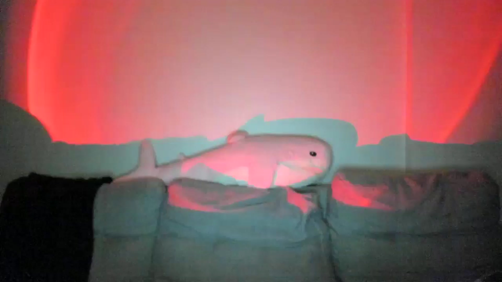 Gallery image thumbnail from IsabellRrose's myfreecams stream on, 04/06/2025, 17:14 image 10 of 20
