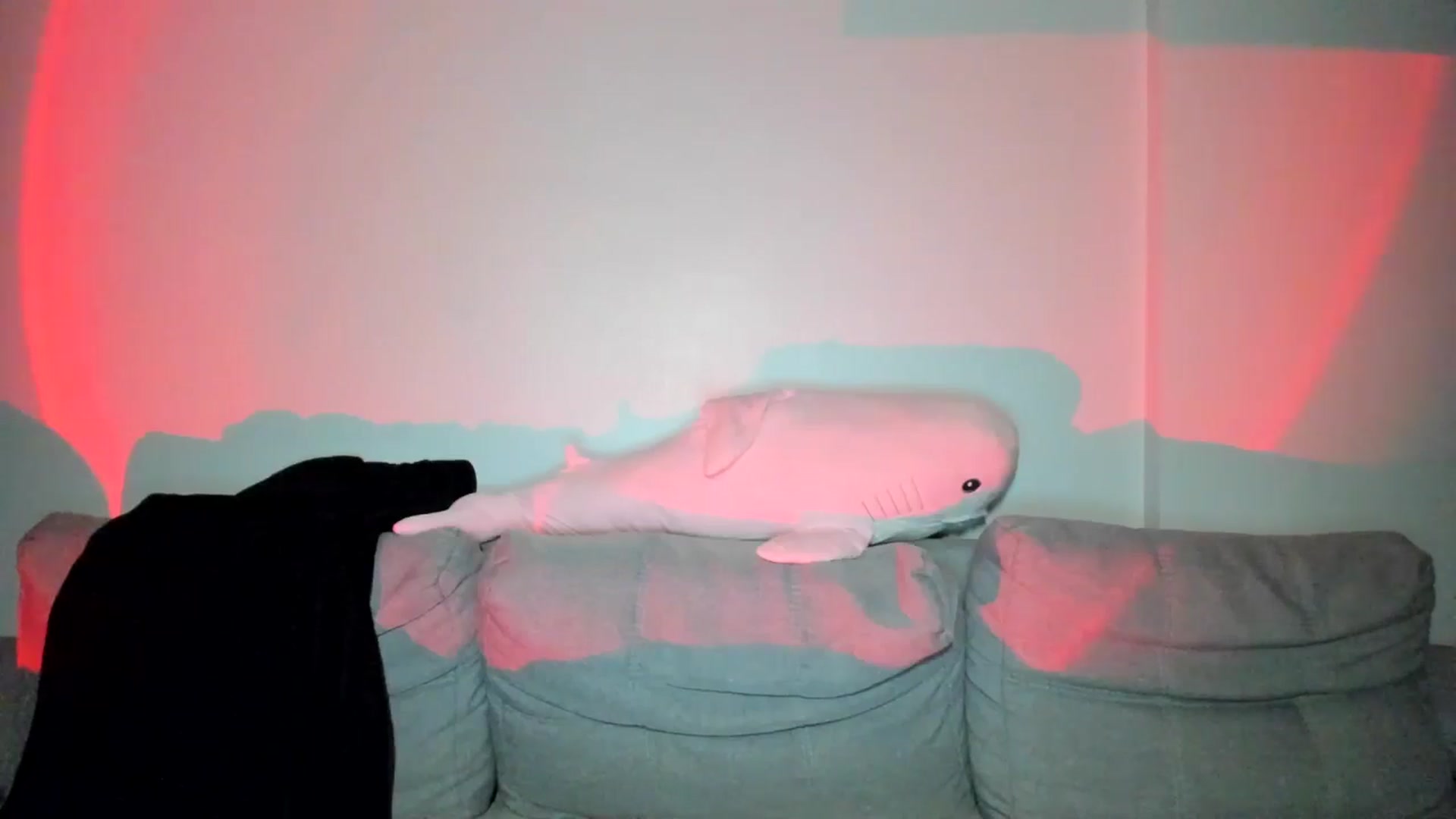 Gallery image thumbnail from IsabellRrose's myfreecams stream on, 04/16/2025, 18:41 image 6 of 20