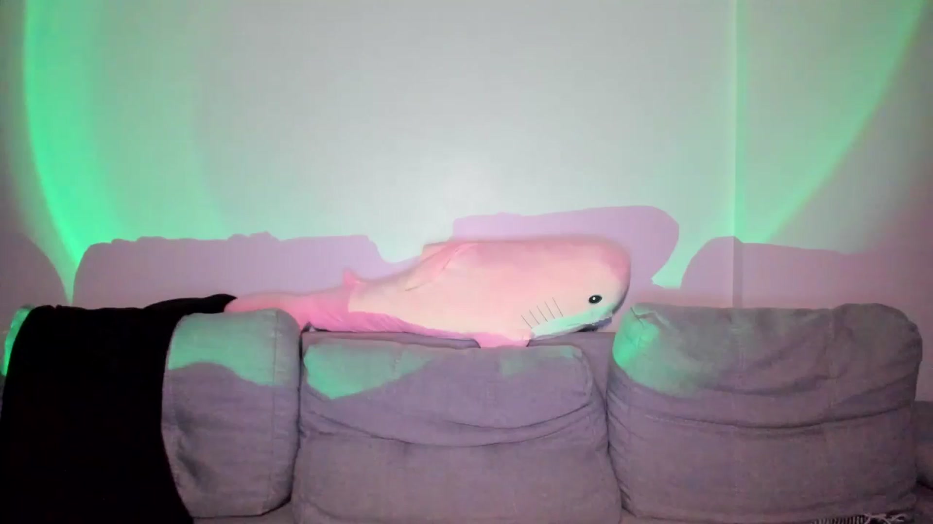 Gallery image thumbnail from IsabellRrose's myfreecams stream on, 04/21/2025, 16:07 image 10 of 20