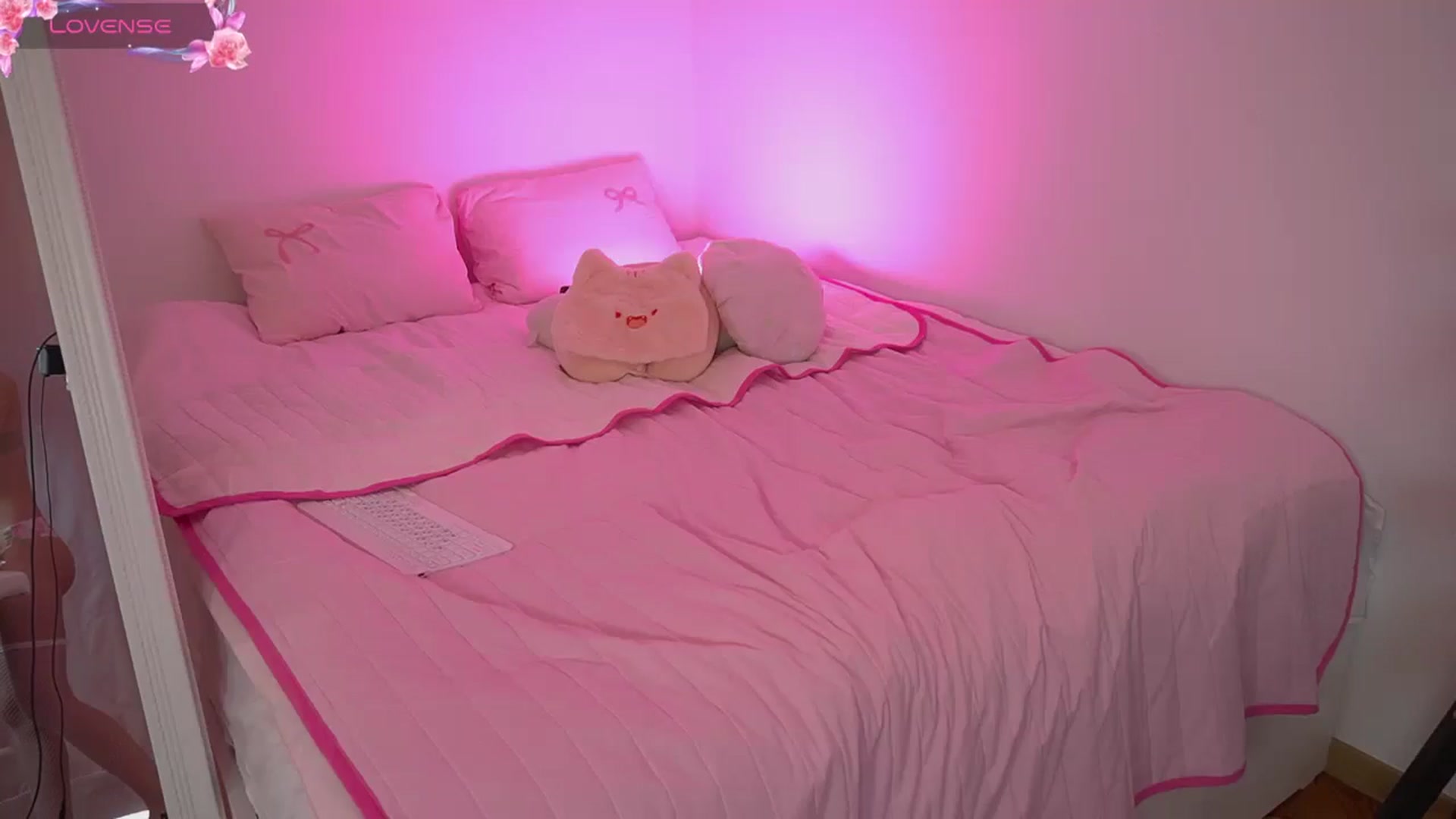 Gallery image thumbnail from IsabellaBliss's myfreecams stream on, 12/17/2025, 15:33 image 9 of 20