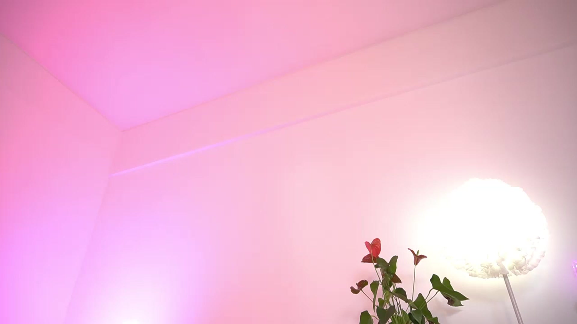 Gallery image thumbnail from IsabellaBliss's myfreecams stream on, 12/25/2025, 17:37 image 14 of 20