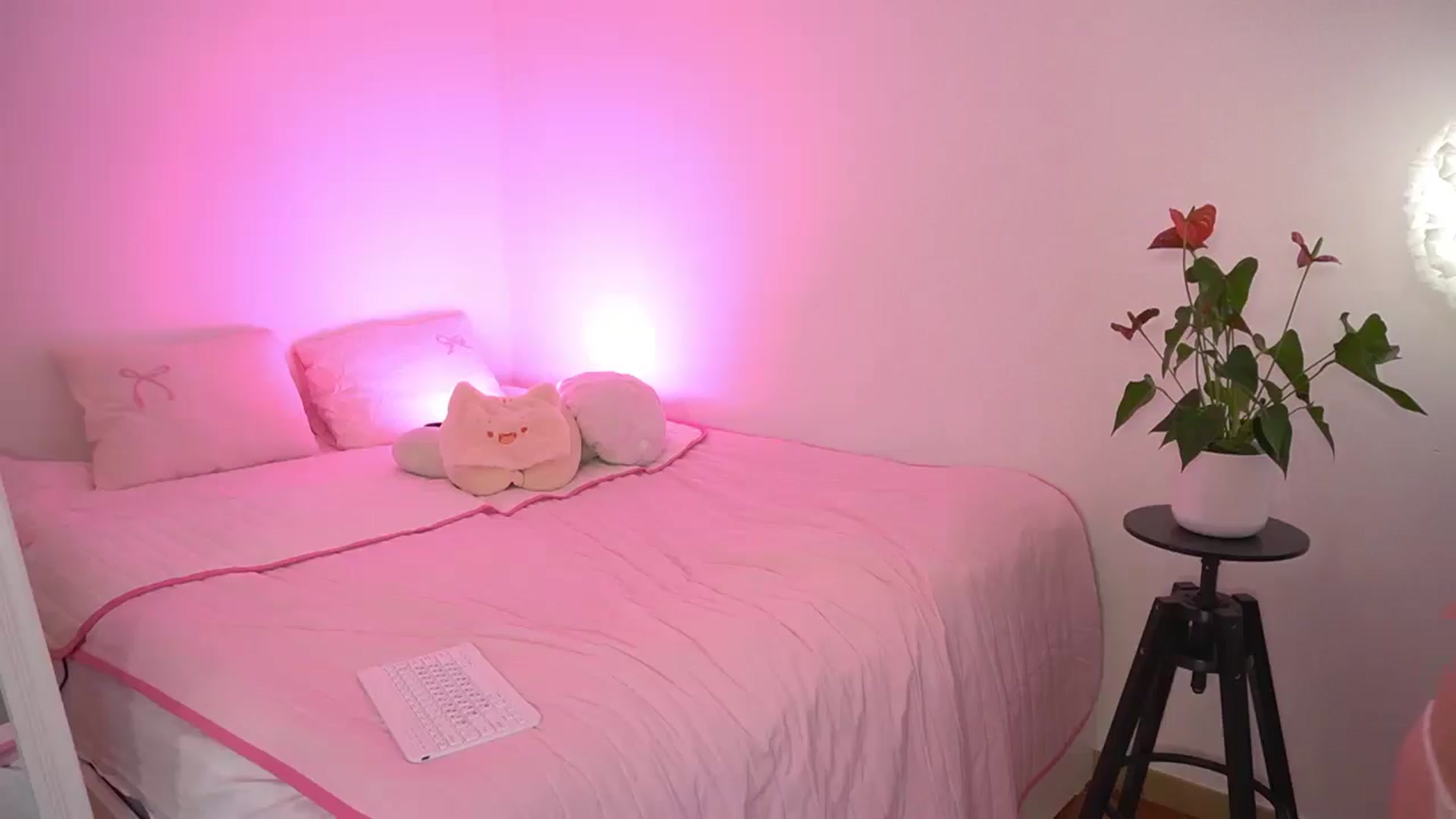 Gallery image thumbnail from IsabellaBliss's myfreecams stream on, 12/26/2025, 11:57 image 20 of 20