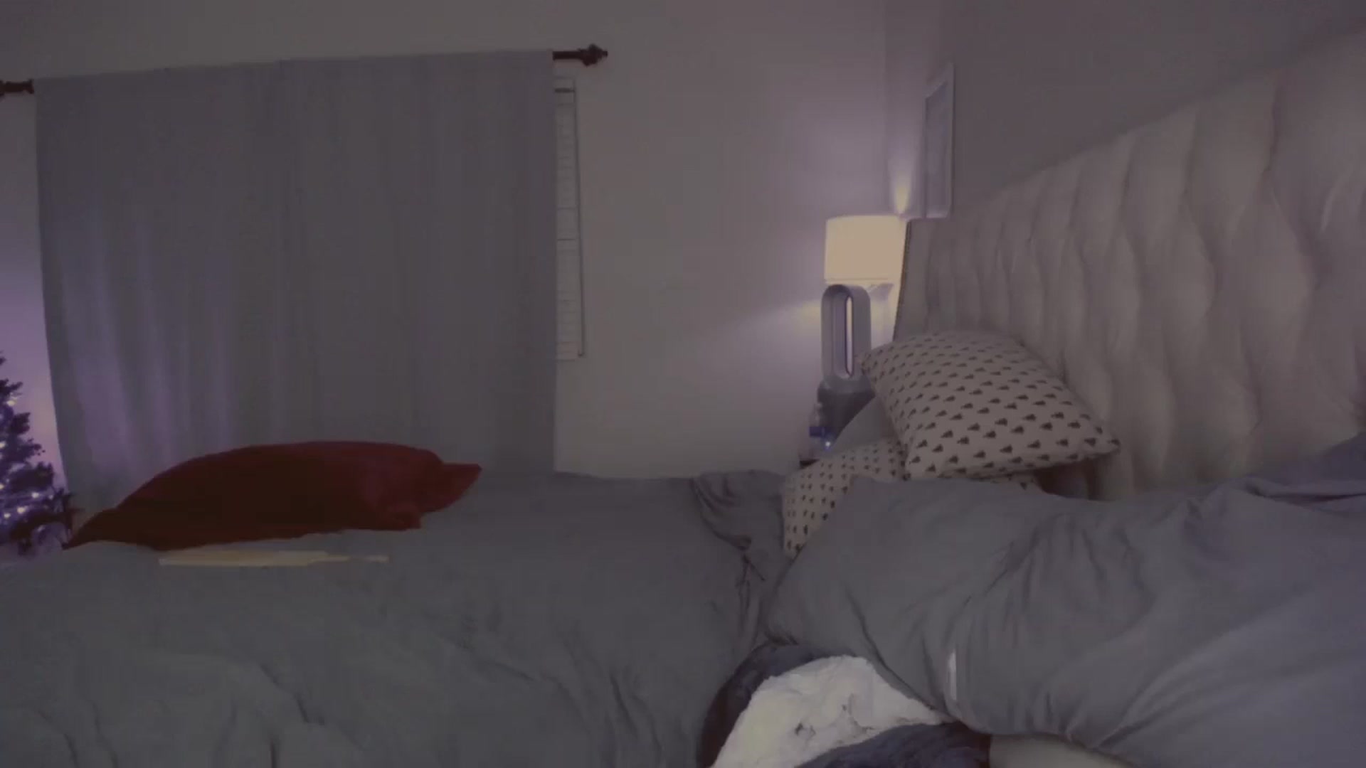 Gallery image thumbnail from Isabelle's myfreecams stream on, 12/24/2023, 04:01 image 19 of 20