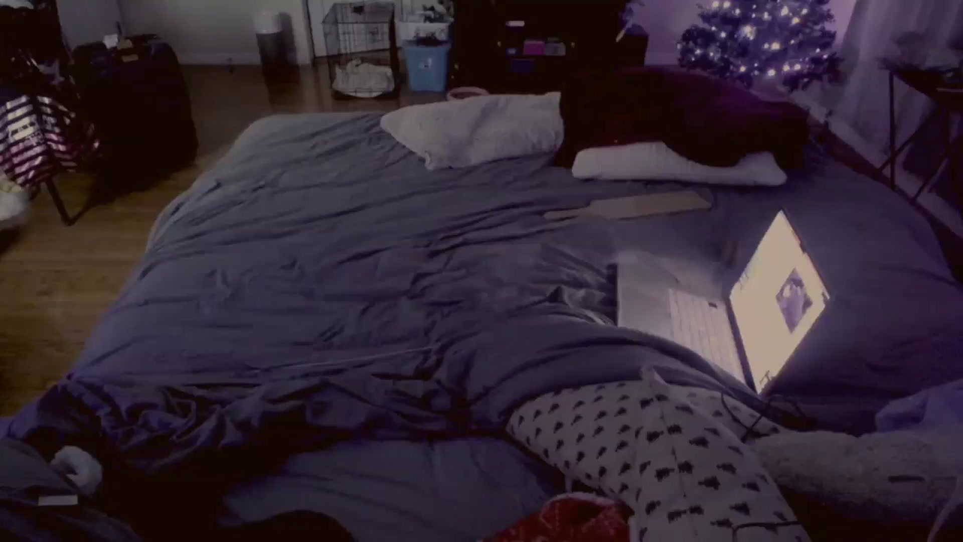 Gallery image thumbnail from Isabelle's myfreecams stream on, 01/08/2024, 07:48 image 14 of 20