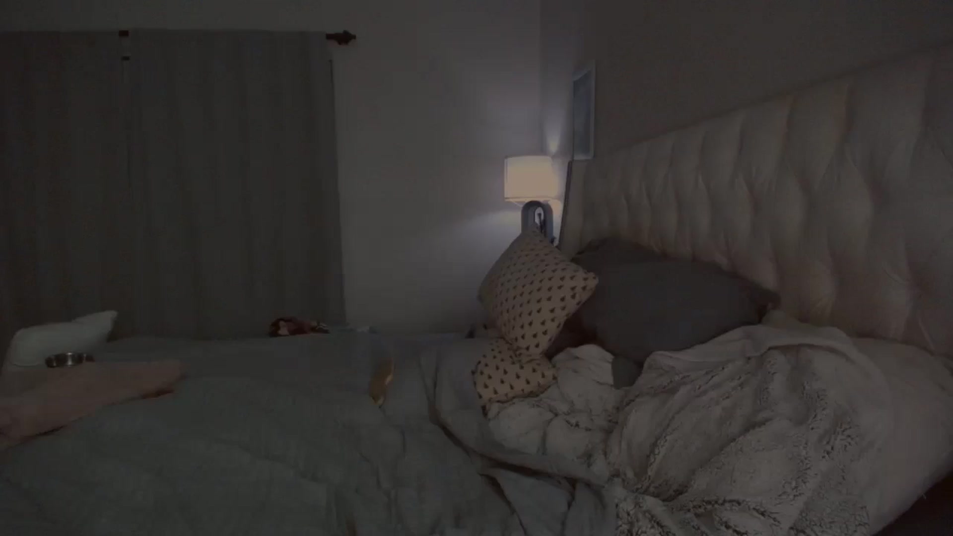 Gallery image thumbnail from Isabelle's myfreecams stream on, 12/05/2024, 07:26 image 2 of 20