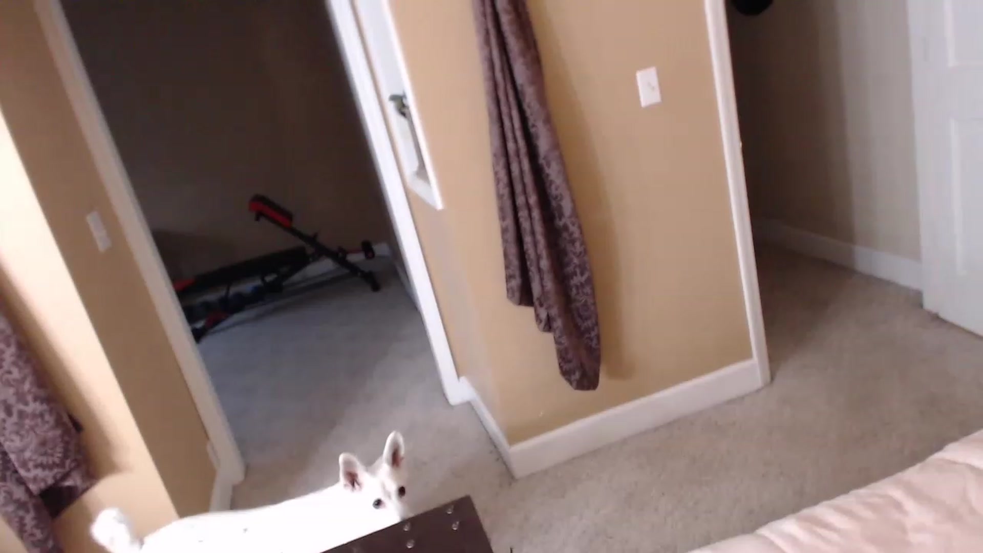 Gallery image thumbnail from IsabelleRaven's myfreecams stream on, 04/06/2023, 23:32 image 9 of 20
