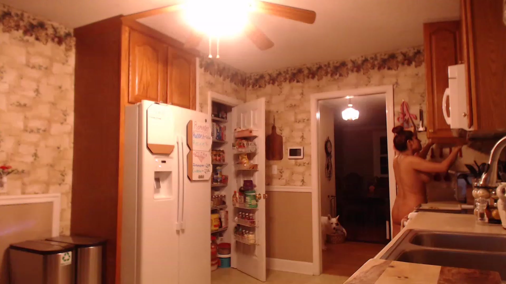 Gallery image thumbnail from IsabelleRaven's myfreecams stream on, 05/08/2023, 04:06 image 19 of 20