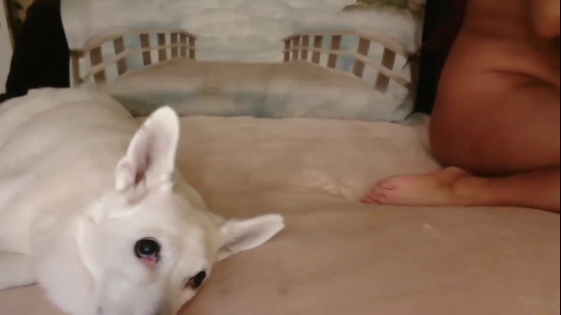 Gallery image thumbnail from IsabelleRaven's myfreecams stream on, 07/02/2023, 02:05 image 4 of 20