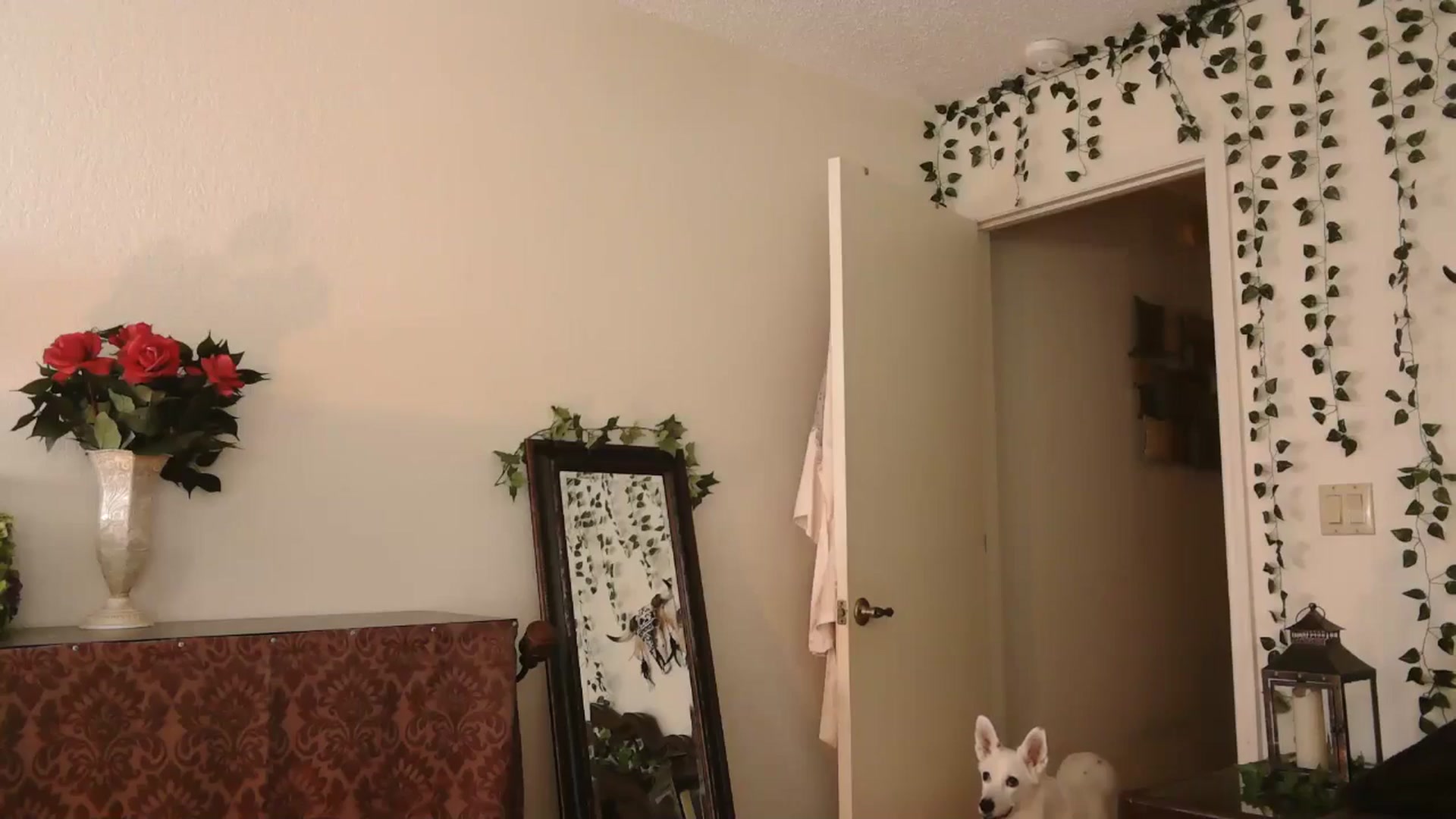 Gallery image thumbnail from IsabelleRaven's myfreecams stream on, 09/28/2024, 04:15 image 5 of 20