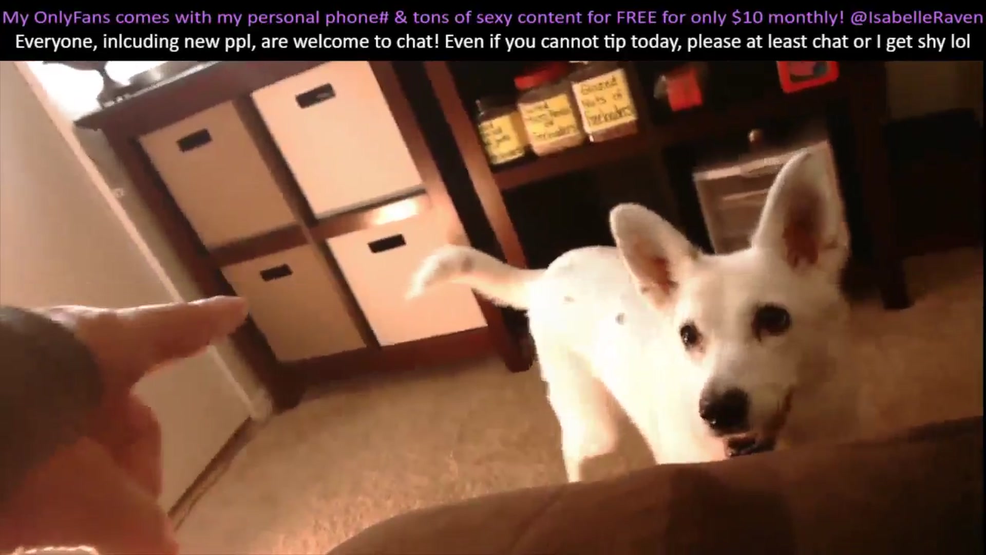 Gallery image thumbnail from IsabelleRaven's myfreecams stream on, 11/11/2024, 11:35 image 12 of 20