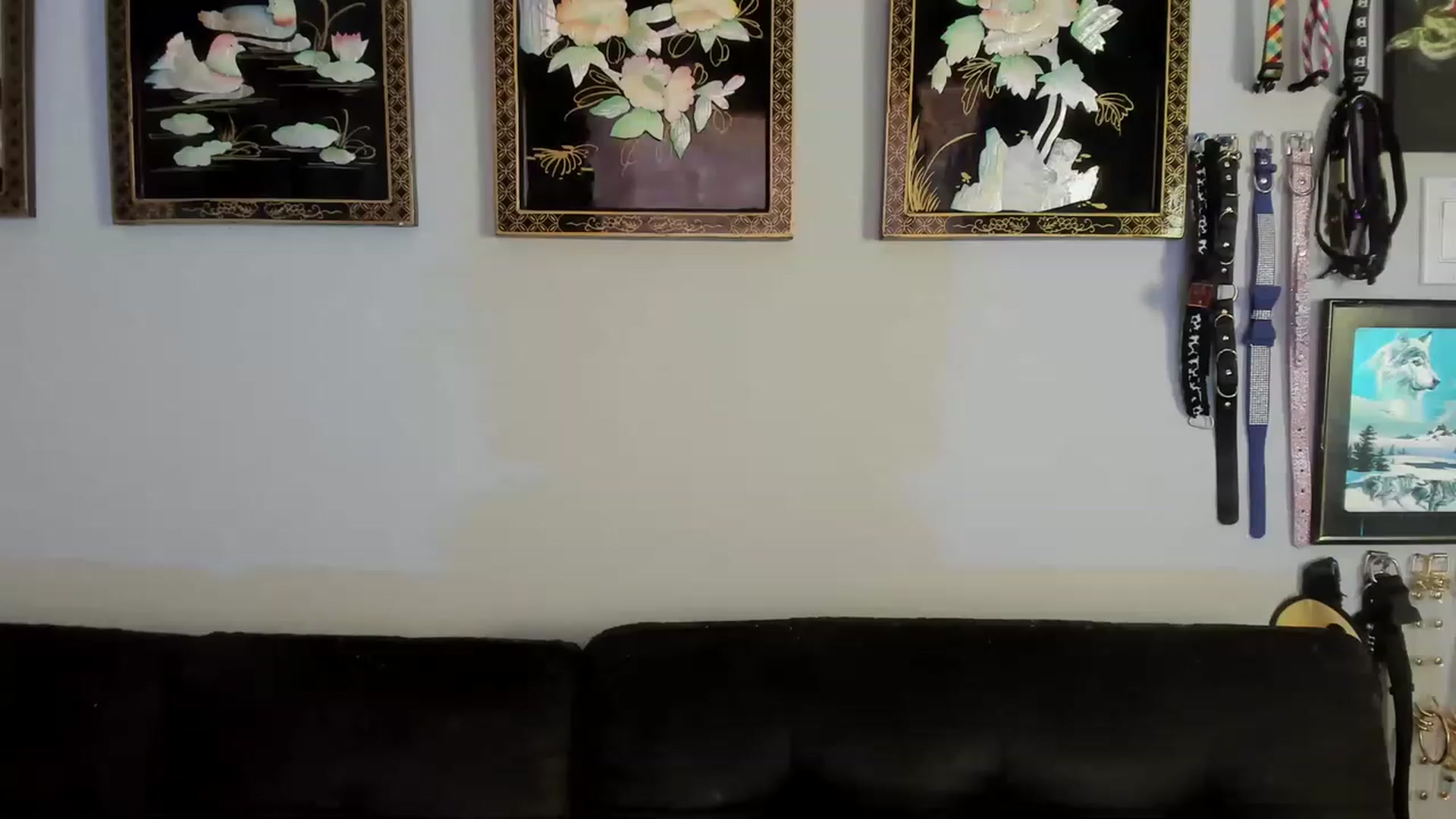 Gallery image thumbnail from Isabelle_Babe's myfreecams stream on, 11/24/2022, 20:28 image 1 of 20