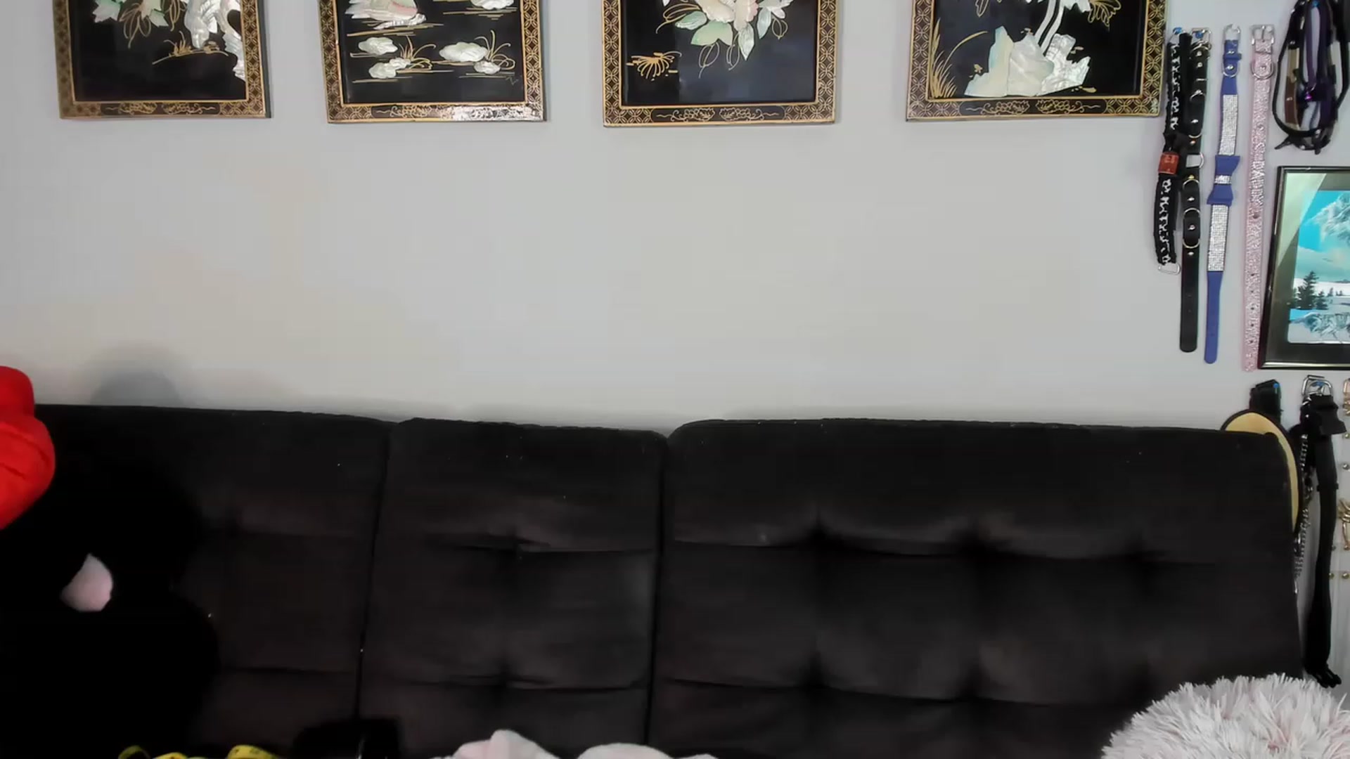 Gallery image thumbnail from Isabelle_Babe's myfreecams stream on, 11/24/2022, 21:17 image 1 of 20