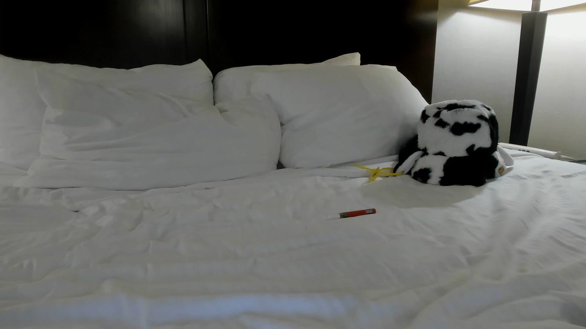 Gallery image thumbnail from Isabelle_Babe's myfreecams stream on, 12/02/2022, 07:34 image 17 of 20