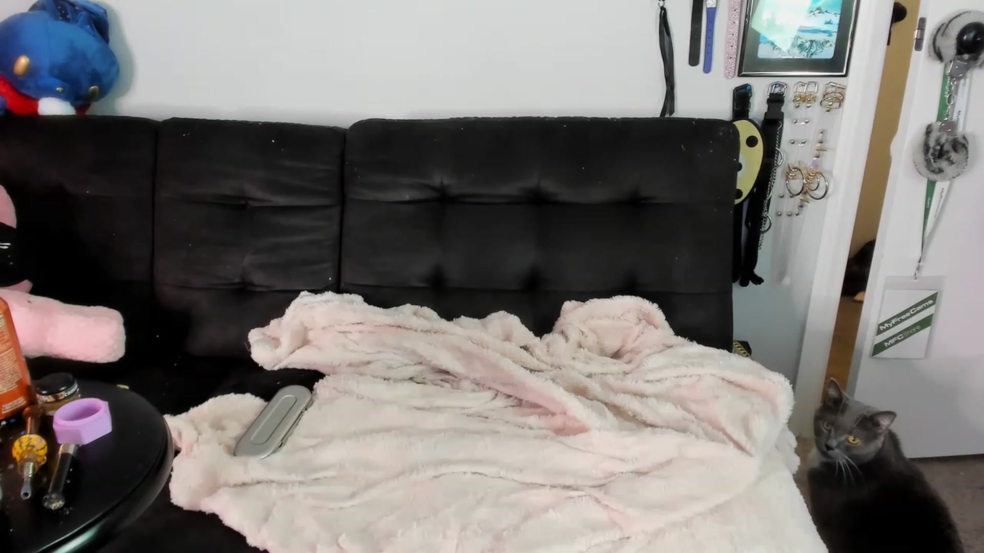 Gallery image thumbnail from Isabelle_Babe's myfreecams stream on, 12/24/2022, 19:55 image 18 of 20