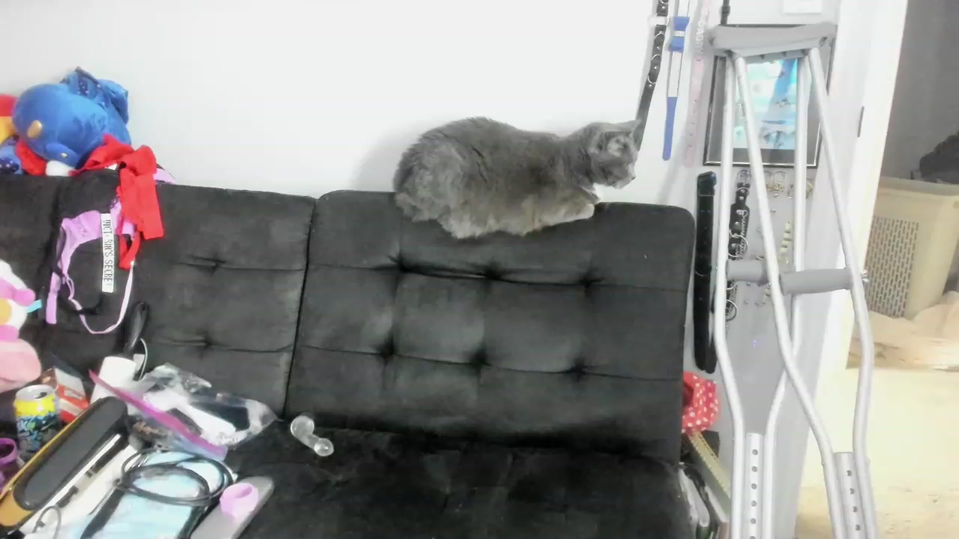 Gallery image thumbnail from Isabelle_Babe's myfreecams stream on, 01/12/2023, 01:30 image 4 of 20