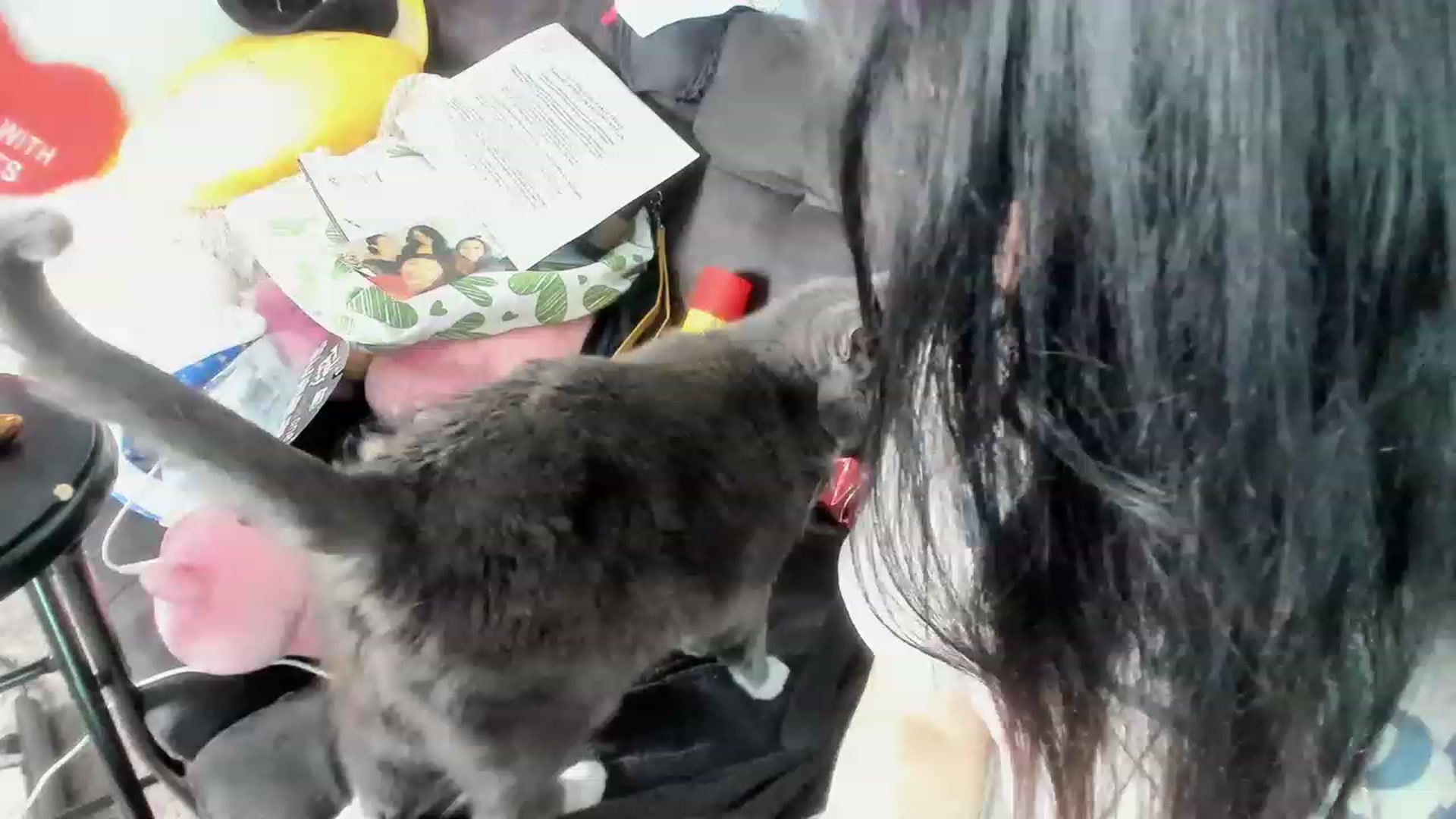 Gallery image thumbnail from Isabelle_Babe's myfreecams stream on, 02/01/2023, 07:41 image 7 of 20