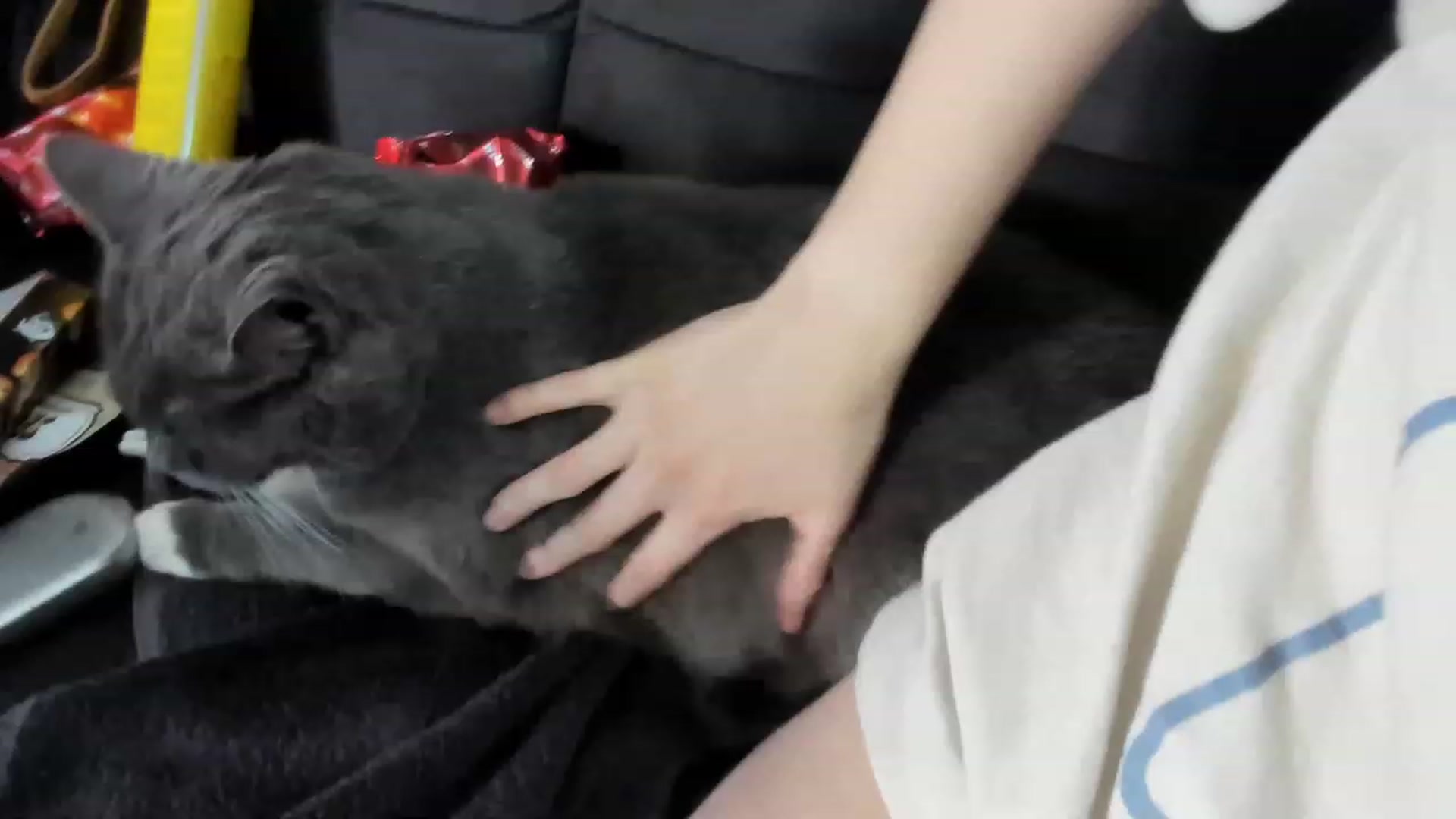 Gallery image thumbnail from Isabelle_Babe's myfreecams stream on, 02/01/2023, 07:41 image 12 of 20
