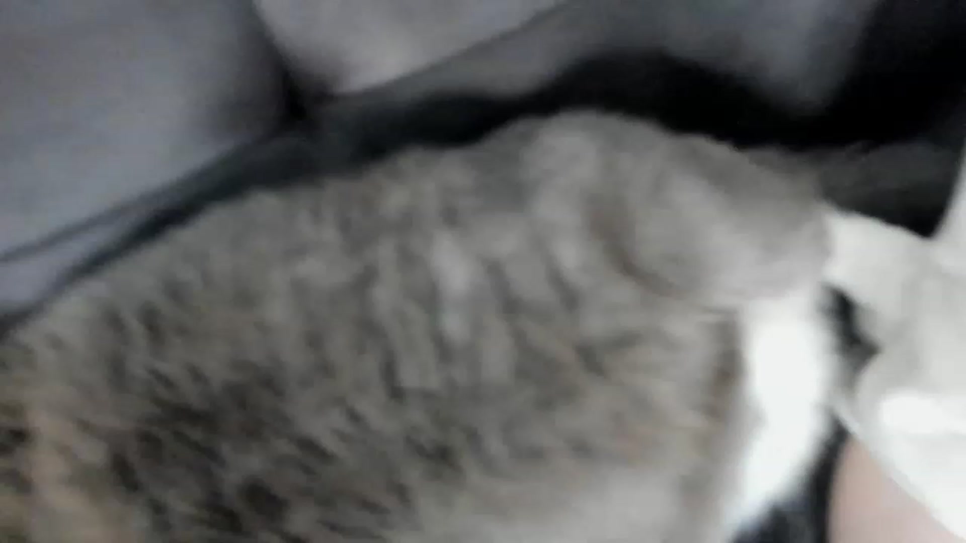Gallery image thumbnail from Isabelle_Babe's myfreecams stream on, 02/01/2023, 07:41 image 16 of 20