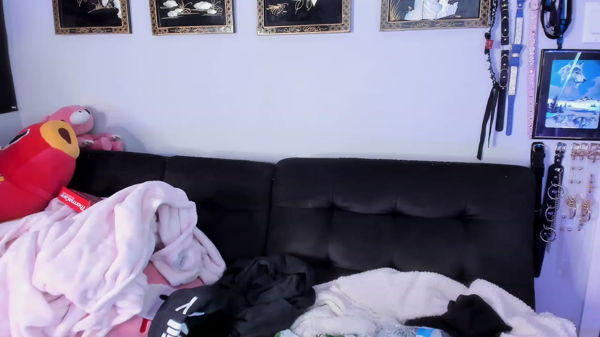 Gallery image thumbnail from Isabelle_Babe's myfreecams stream on, 02/19/2023, 21:14 image 5 of 20