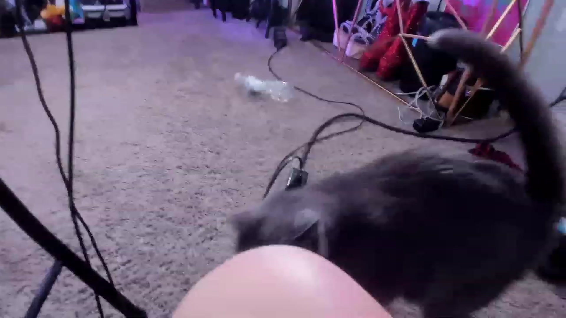 Gallery image thumbnail from Isabelle_Babe's myfreecams stream on, 07/21/2023, 19:47 image 9 of 20