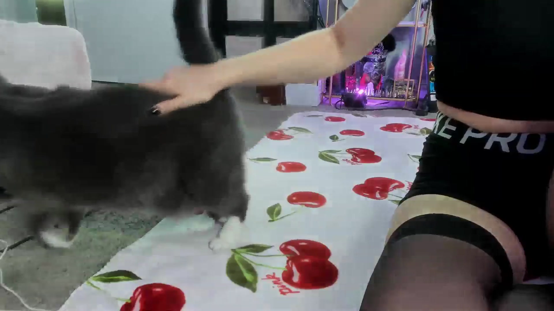 Gallery image thumbnail from Isabelle_Babe's myfreecams stream on, 08/08/2023, 19:45 image 13 of 20