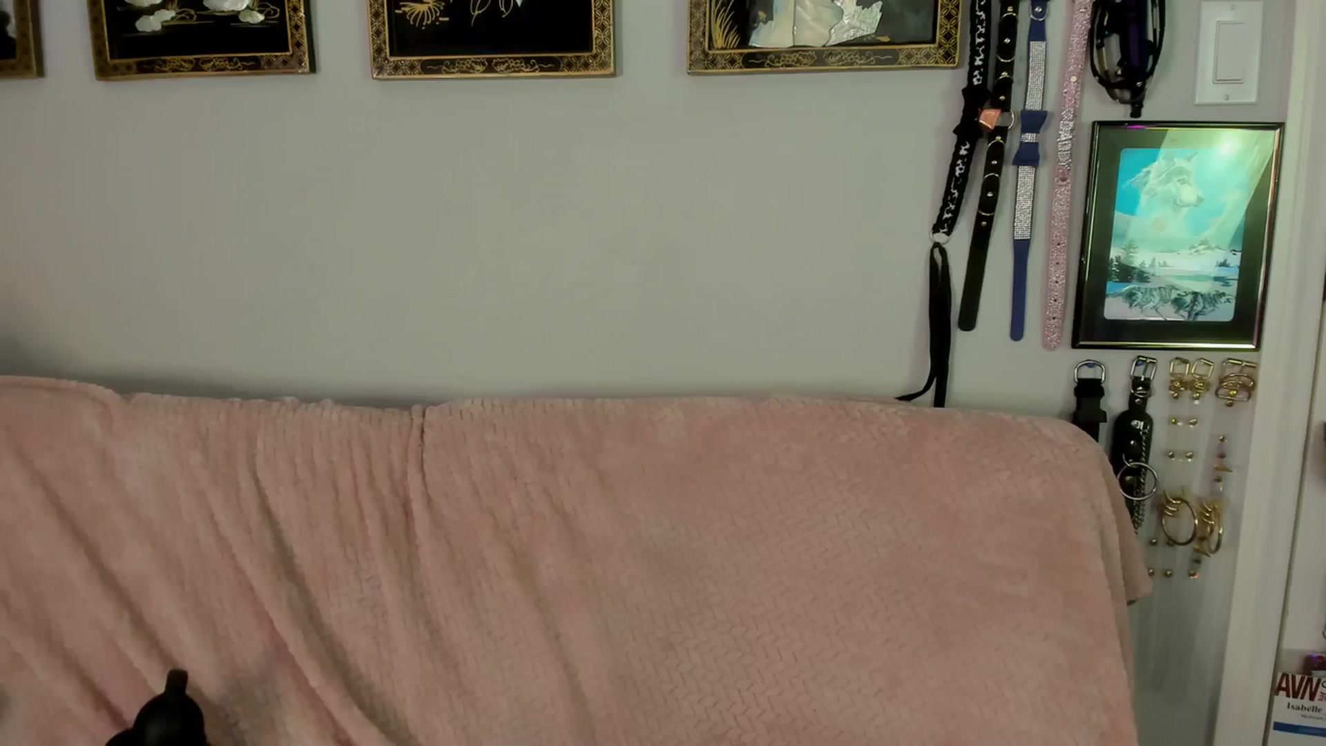 Gallery image thumbnail from Isabelle_Babe's myfreecams stream on, 08/09/2023, 19:35 image 12 of 20