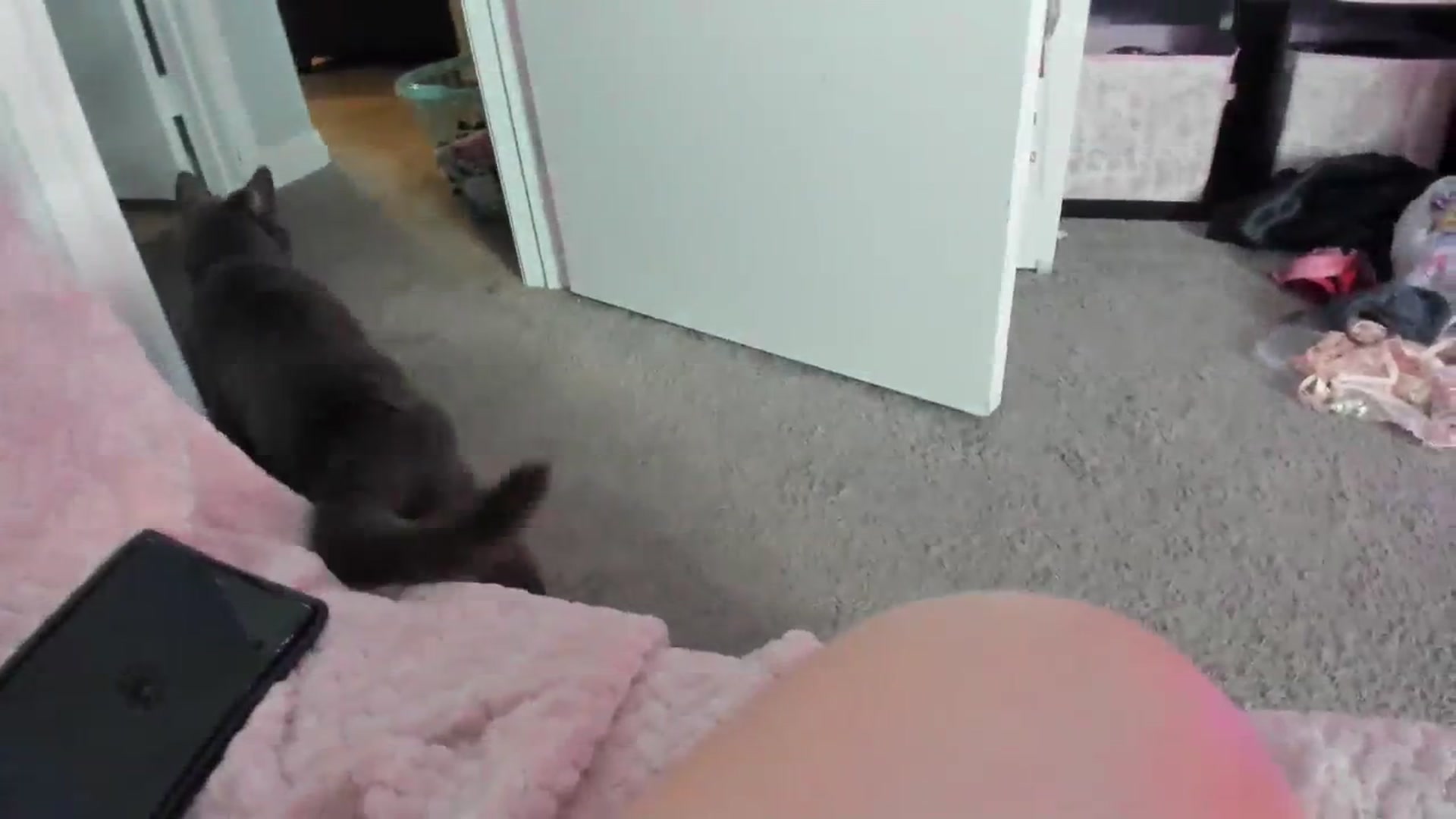 Gallery image thumbnail from Isabelle_Babe's myfreecams stream on, 03/12/2024, 07:37 image 3 of 20